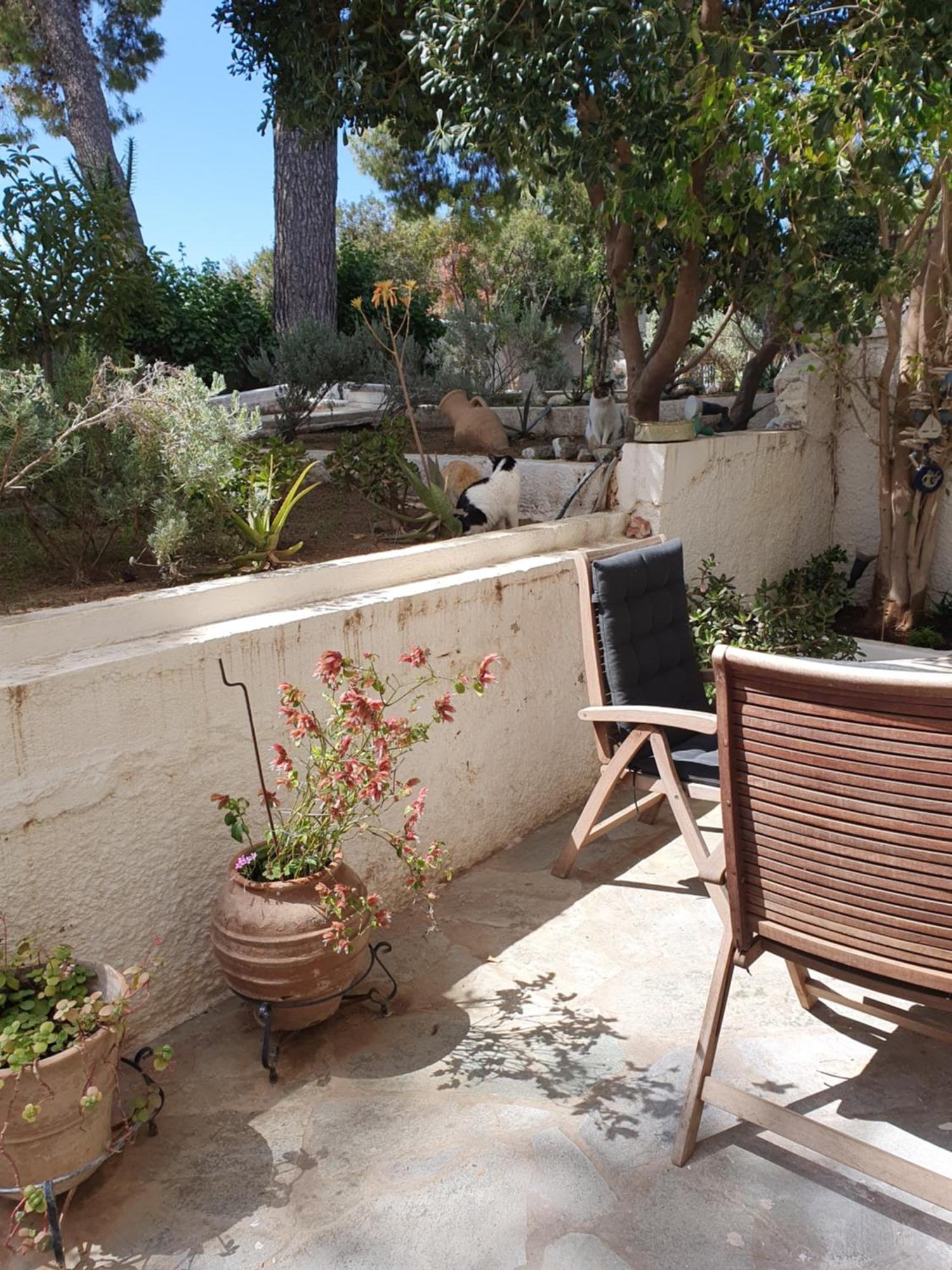 Poros Summer Apartment - Neorio Poros Town المظهر الخارجي الصورة